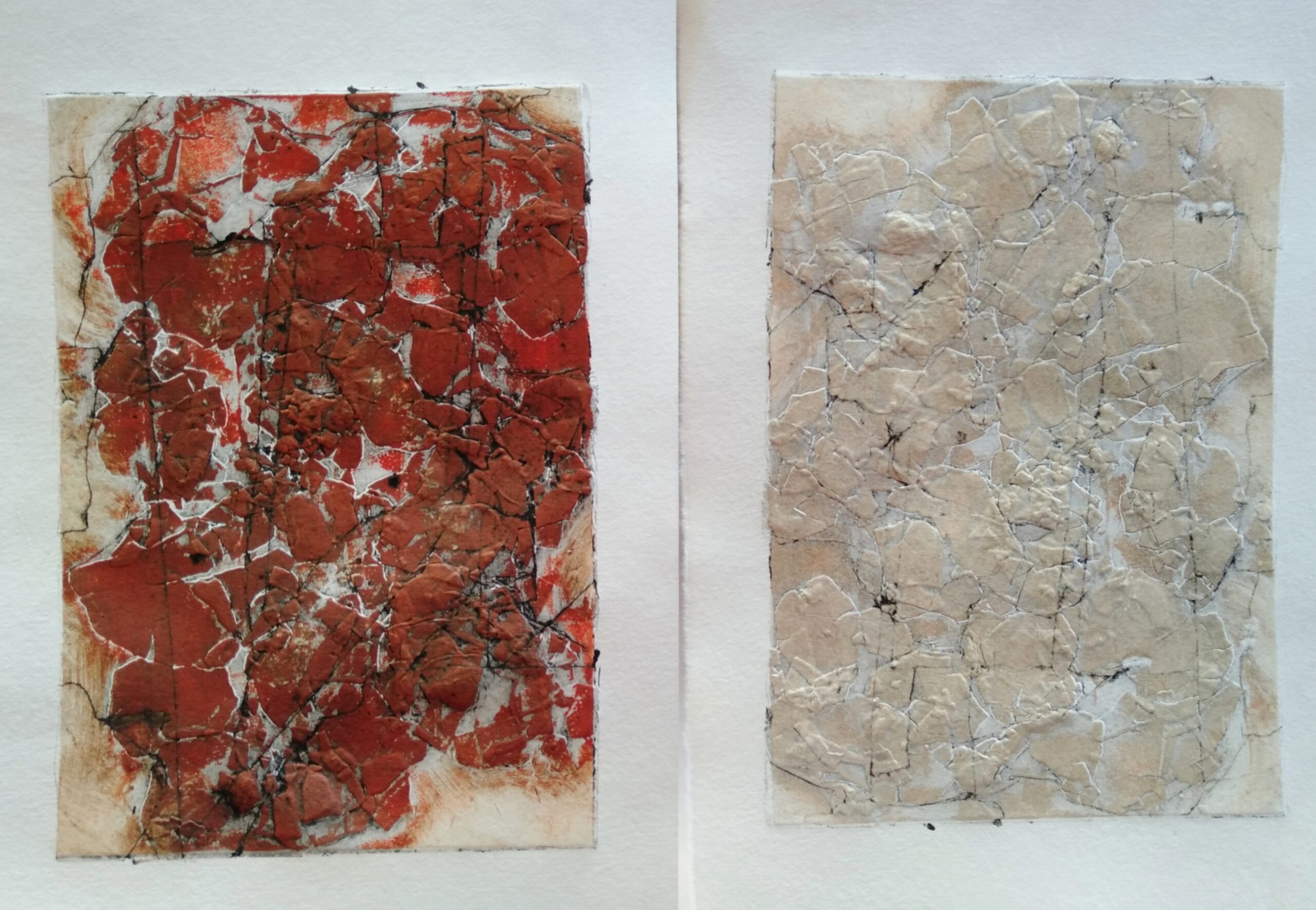 my first collagraph print