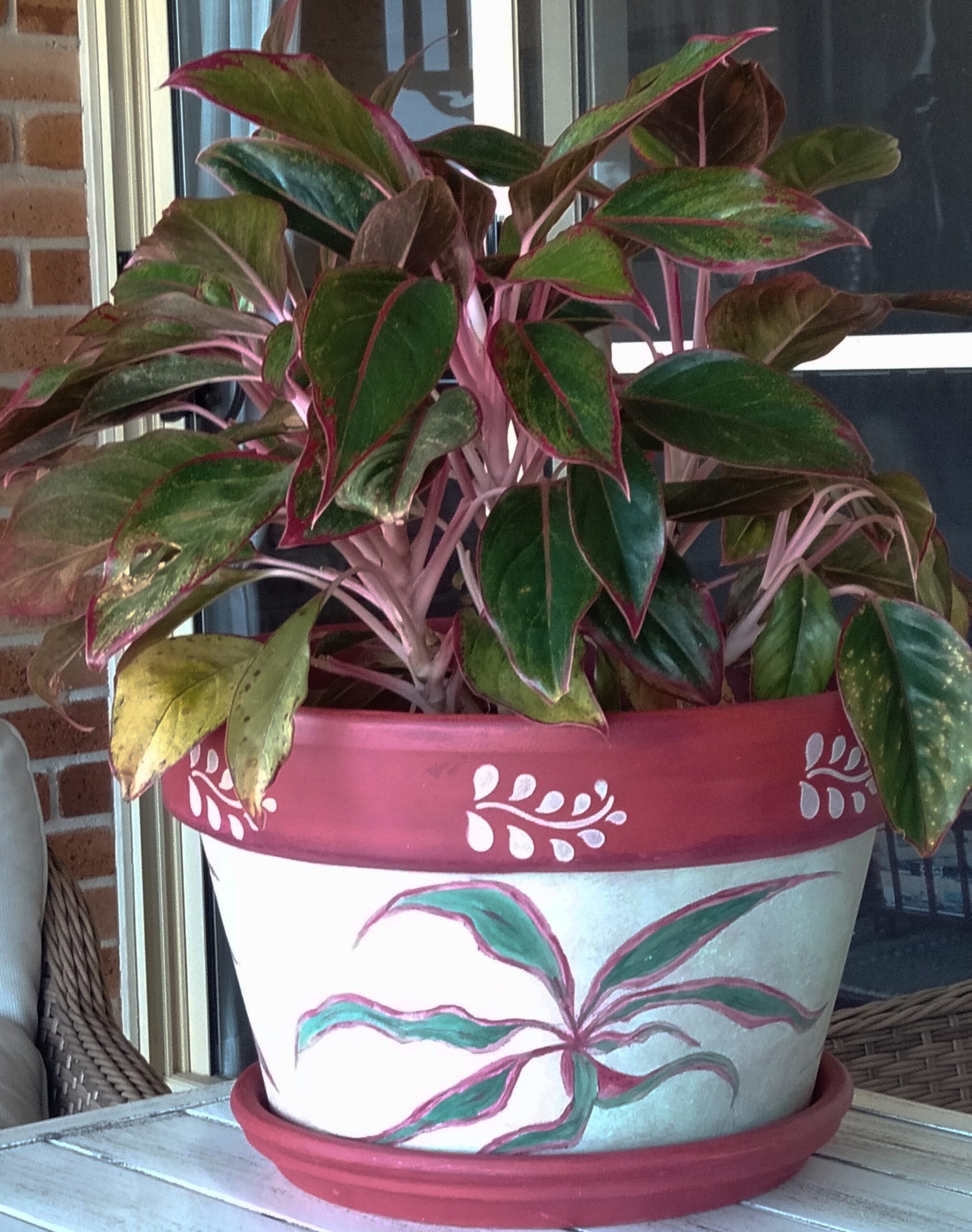 painted plant pot